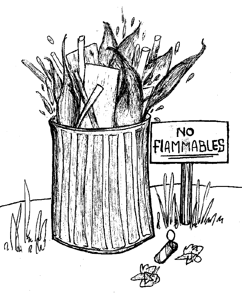 No Flammables, No Dumpster Fires