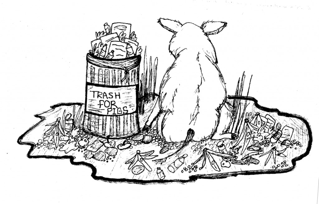 Trash of Pigs, Fun Facts About Dumpster